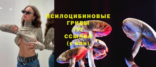 PSILOCYBIN Верея